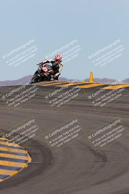 media/Mar-12-2023-SoCal Trackdays (Sun) [[d4c8249724]]/Turns 9 and 10 (1020am)/